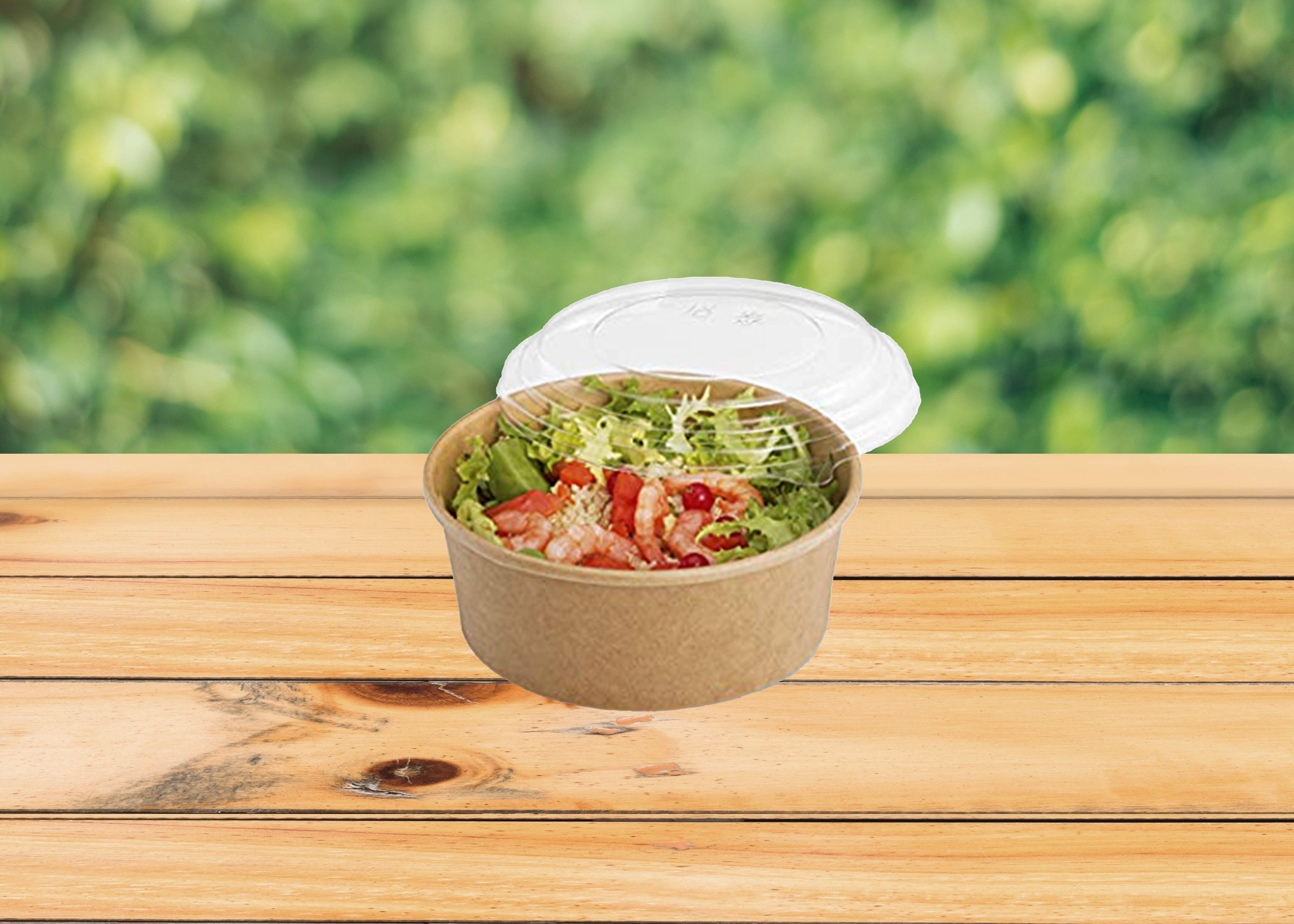 Salade Bowls